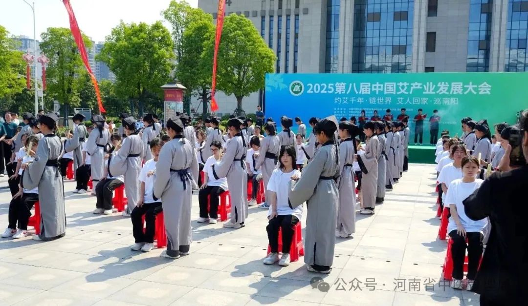 中医药国际化进程再迈新台阶！南阳市中医院举行海外诊疗中心授牌仪式