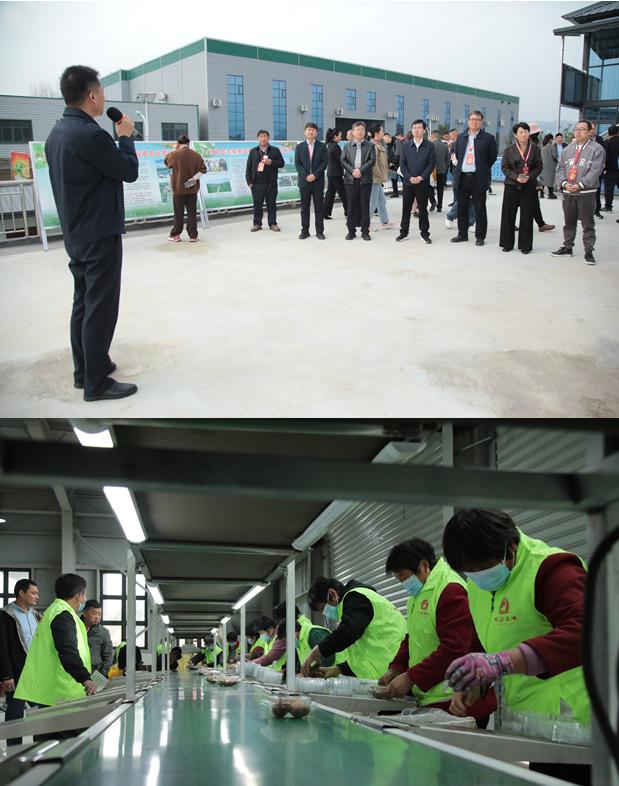 河南西峡:金秋逢盛会 龙乡果飘香